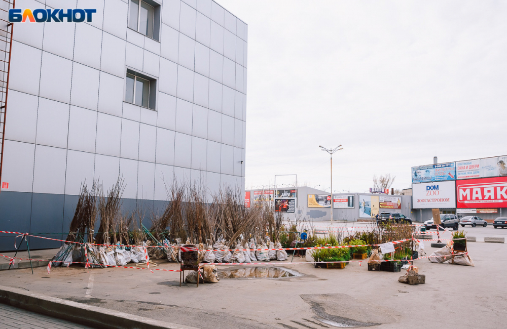 Ритуальные принадлежности и семена вошли в список товаров доступных для продажи в период самоизоляции Ритуальные принадлежности и семена вошли в список товаров доступных для продажи в период самоизоляции