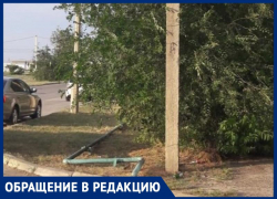 Сломанные ветки прибьют детей и родителей: засохшие деревья пугают жителей Волжского Сломанные ветки прибьют детей и родителей: засохшие деревья пугают жителей Волжского
