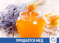В Волжском продается вкусный мед В Волжском продается вкусный мед