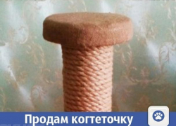 Для котов-игрунов продается когтеточка в Волжском Для котов-игрунов продается когтеточка в Волжском