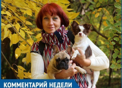 Я бы применила оружие против собаки для защиты ребенка, - волжский кинолог Я бы применила оружие против собаки для защиты ребенка, - волжский кинолог