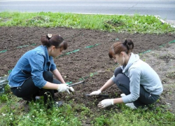 Волжским подросткам предлагают заработать летом Волжским подросткам предлагают заработать летом