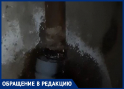 «В подвале происходят ужасные вещи», - волжанин о канализации в многоквартирном доме «В подвале происходят ужасные вещи», - волжанин о канализации в многоквартирном доме