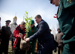 Волгоградский проект стал одним из лучших во всероссийском конкурсе "Лес Победы" Волгоградский проект стал одним из лучших во всероссийском конкурсе "Лес Победы"