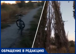 «Дерево скоро упадет на пешеходную дорожку», - волжанин о сухостое «Дерево скоро упадет на пешеходную дорожку», - волжанин о сухостое