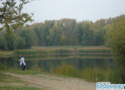 В Волжском на озере Круглое появятся волейбольная площадка и сцена В Волжском на озере Круглое появятся волейбольная площадка и сцена