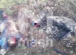 Названа предварительная причина разрыва снаряда: подросток и мужчина погибли в Волгоградской области Названа предварительная причина разрыва снаряда: подросток и мужчина погибли в Волгоградской области