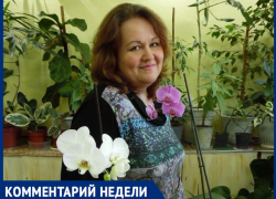 "Змеи ползут к людям за пищей",- Мария Севастьянова "Змеи ползут к людям за пищей",- Мария Севастьянова