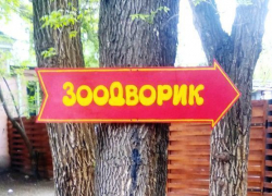 Истерика вокруг зоодворика в Волжском оказалась напрасной Истерика вокруг зоодворика в Волжском оказалась напрасной
