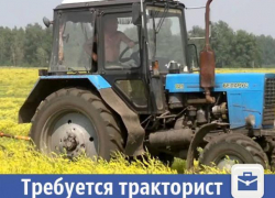 В Волжском ищут профессионального тракториста В Волжском ищут профессионального тракториста