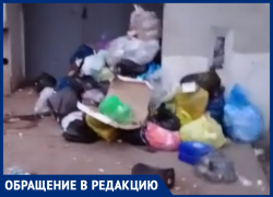 Об ужасной вони, антисанитарии и хамстве со стороны УК рассказал житель Волжского Об ужасной вони, антисанитарии и хамстве со стороны УК рассказал житель Волжского