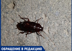 "Я бежала домой быстрей что бы не видеть эту жуть", - волжанка "Я бежала домой быстрей что бы не видеть эту жуть", - волжанка