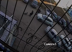 В Волжском на видео попал наезд на маленького ребенка во дворе жилого дома В Волжском на видео попал наезд на маленького ребенка во дворе жилого дома