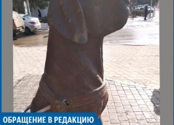 У собаки – поводыря вандалы украли трость,- волжанка У собаки – поводыря вандалы украли трость,- волжанка