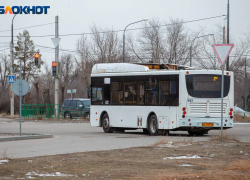 Только привитых от COVID-19 будут пускать в междугородние автобусы в Волгоградской области Только привитых от COVID-19 будут пускать в междугородние автобусы в Волгоградской области