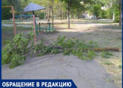 "Дети гуляли возле турника, когда упала ветка", - волжанка "Дети гуляли возле турника, когда упала ветка", - волжанка