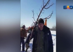 Волжане жалуются на анонимное восстановление земли на месте снесенных домов Волжане жалуются на анонимное восстановление земли на месте снесенных домов
