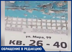«Течет за шиворот жильцам: козырек над подъездом прогнил», - волжанин рассказал о проблеме «Течет за шиворот жильцам: козырек над подъездом прогнил», - волжанин рассказал о проблеме
