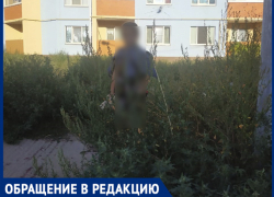 "Траву не косят, скоро не найдем в ней своих детей", - волжанка "Траву не косят, скоро не найдем в ней своих детей", - волжанка