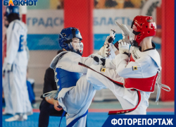Дружба и соперничество слились воедино в Открытом Кубке по тхэквондо Дружба и соперничество слились воедино в Открытом Кубке по тхэквондо