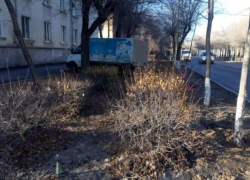 В Волжском сбили школьницу на пешеходном переходе В Волжском сбили школьницу на пешеходном переходе
