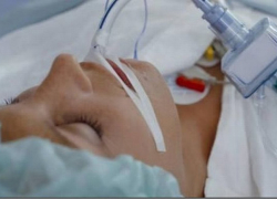 После укуса каракурта 10-летний житель Волгограда впал в кому После укуса каракурта 10-летний житель Волгограда впал в кому