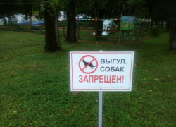 В Волжском должны появиться специальные места для выгула животных В Волжском должны появиться специальные места для выгула животных