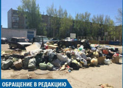 Крысы скоро будут бегать у свалки в 15 микрорайоне, - волжанка Крысы скоро будут бегать у свалки в 15 микрорайоне, - волжанка