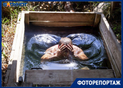 Удивительный святой источник спрятан от любопытных глаз в Волжском Удивительный святой источник спрятан от любопытных глаз в Волжском