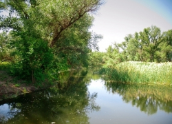Волго-Ахтубинскую пойму экстренно заполняют миллионами кубометров воды Волго-Ахтубинскую пойму экстренно заполняют миллионами кубометров воды