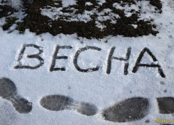 Весна в Волгоградской области: заморозки, снег и град Весна в Волгоградской области: заморозки, снег и град