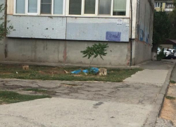 Под окнами девятиэтажки волжане обнаружили труп женщины Под окнами девятиэтажки волжане обнаружили труп женщины
