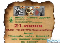 В Волжском состоится благотворительная акция в помощь бездомным животным В Волжском состоится благотворительная акция в помощь бездомным животным