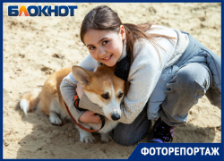 Собрали всех «хороших мальчиков»: в Волжском отметили открытие площадки для собак Собрали всех «хороших мальчиков»: в Волжском отметили открытие площадки для собак