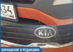 Ощущение, что мэрия специально нас испытывает, - волжанка Ощущение, что мэрия специально нас испытывает, - волжанка