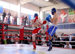 Золотые медали получили волжане на чемпионате ЮФО по кикбоксингу Золотые медали получили волжане на чемпионате ЮФО по кикбоксингу