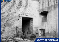 Окраины города Волжского превратились в хоррор Окраины города Волжского превратились в хоррор