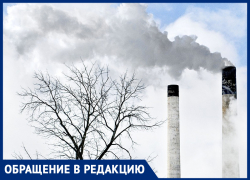 «Город только визуально меняется, а как травили, так и травят», - волжанка «Город только визуально меняется, а как травили, так и травят», - волжанка