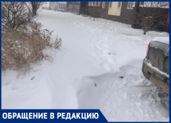 Хрупкая волжанка еле донесла своего ребенка домой по сугробам Хрупкая волжанка еле донесла своего ребенка домой по сугробам