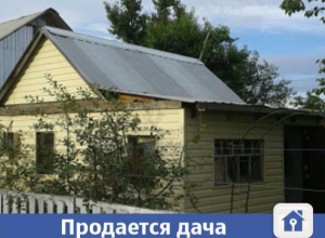 Волжанам предлагают купить дачу с большим садом Волжанам предлагают купить дачу с большим садом