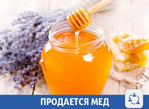 В Волжском продается вкусный мед В Волжском продается вкусный мед
