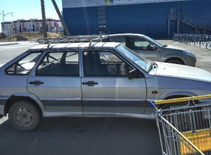 Собаку забыли в запертой машине на жаре, - волжанка Собаку забыли в запертой машине на жаре, - волжанка