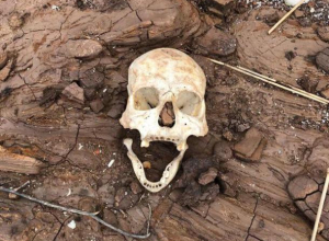 В Волгоградской области человеческие кости и гробы, «замурованные» в землю, лезут наружу В Волгоградской области человеческие кости и гробы, «замурованные» в землю, лезут наружу