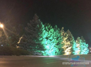 Круглогодичные деревья озарились светом в Волжском Круглогодичные деревья озарились светом в Волжском