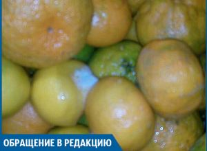 Покупателей, как свиней, вынудили рыться в помойке в гипермаркете «Магнит» в Волжском Покупателей, как свиней, вынудили рыться в помойке в гипермаркете «Магнит» в Волжском