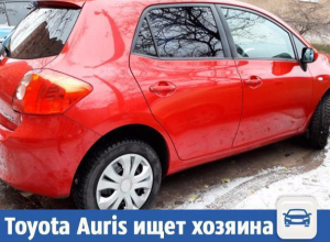 Красную красотку Toyota Auris срочно продают в Волжском Красную красотку Toyota Auris срочно продают в Волжском