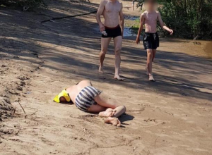 Ранняя пташка отправилась в царство Морфея на теплом песочке в Киляковке Ранняя пташка отправилась в царство Морфея на теплом песочке в Киляковке
