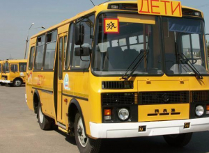 С 2017 года юных волжан будут перевозить по новым правилам С 2017 года юных волжан будут перевозить по новым правилам