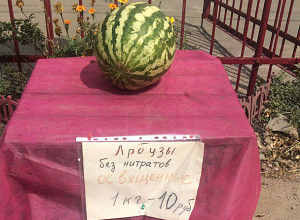 Куда катится мир: продажу освященных арбузов наладили на территории церкви, - волжанин Куда катится мир: продажу освященных арбузов наладили на территории церкви, - волжанин