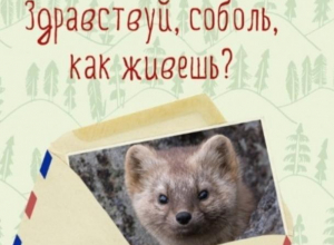 Педагоги от имени животных ответили на вопросы волжских школьников Педагоги от имени животных ответили на вопросы волжских школьников